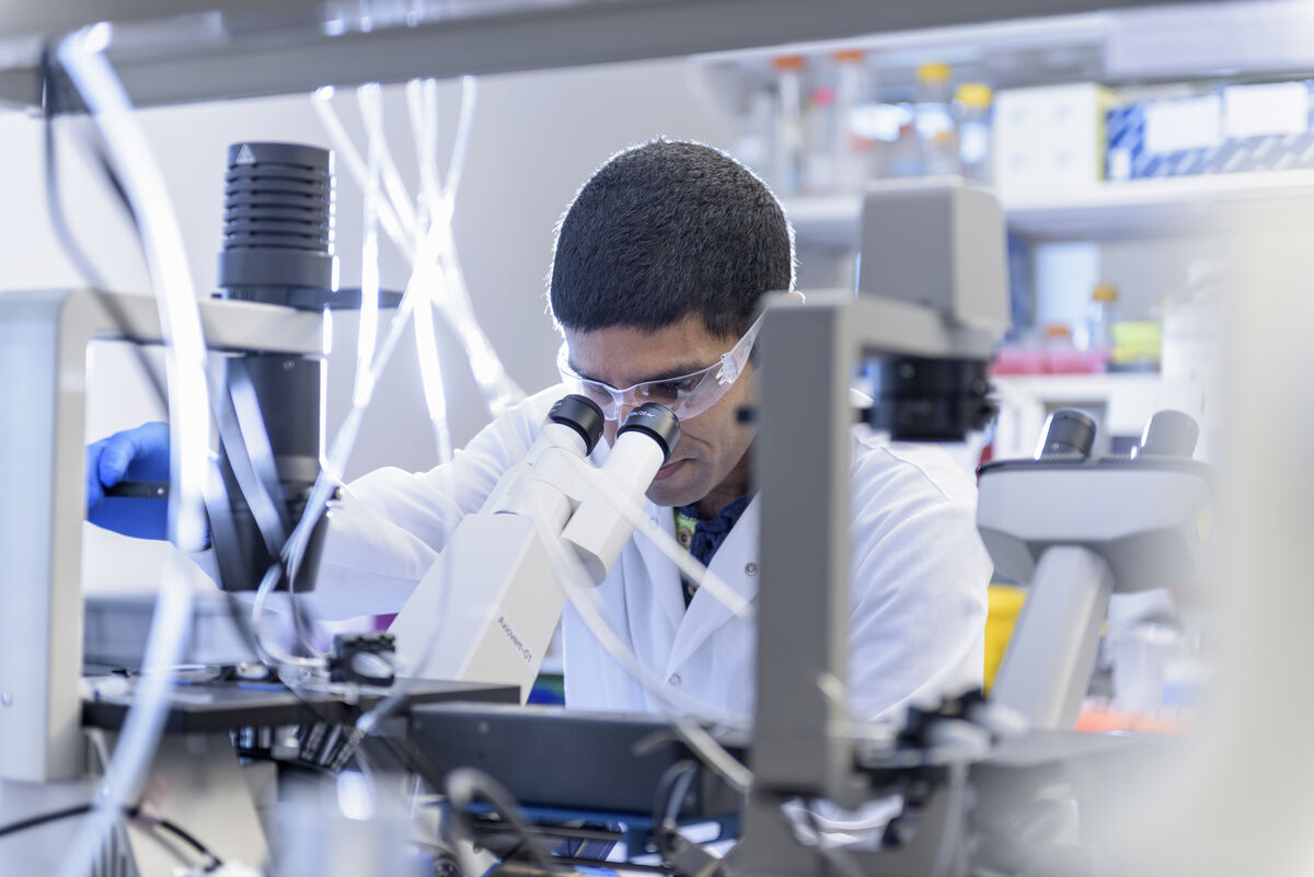 版权声明